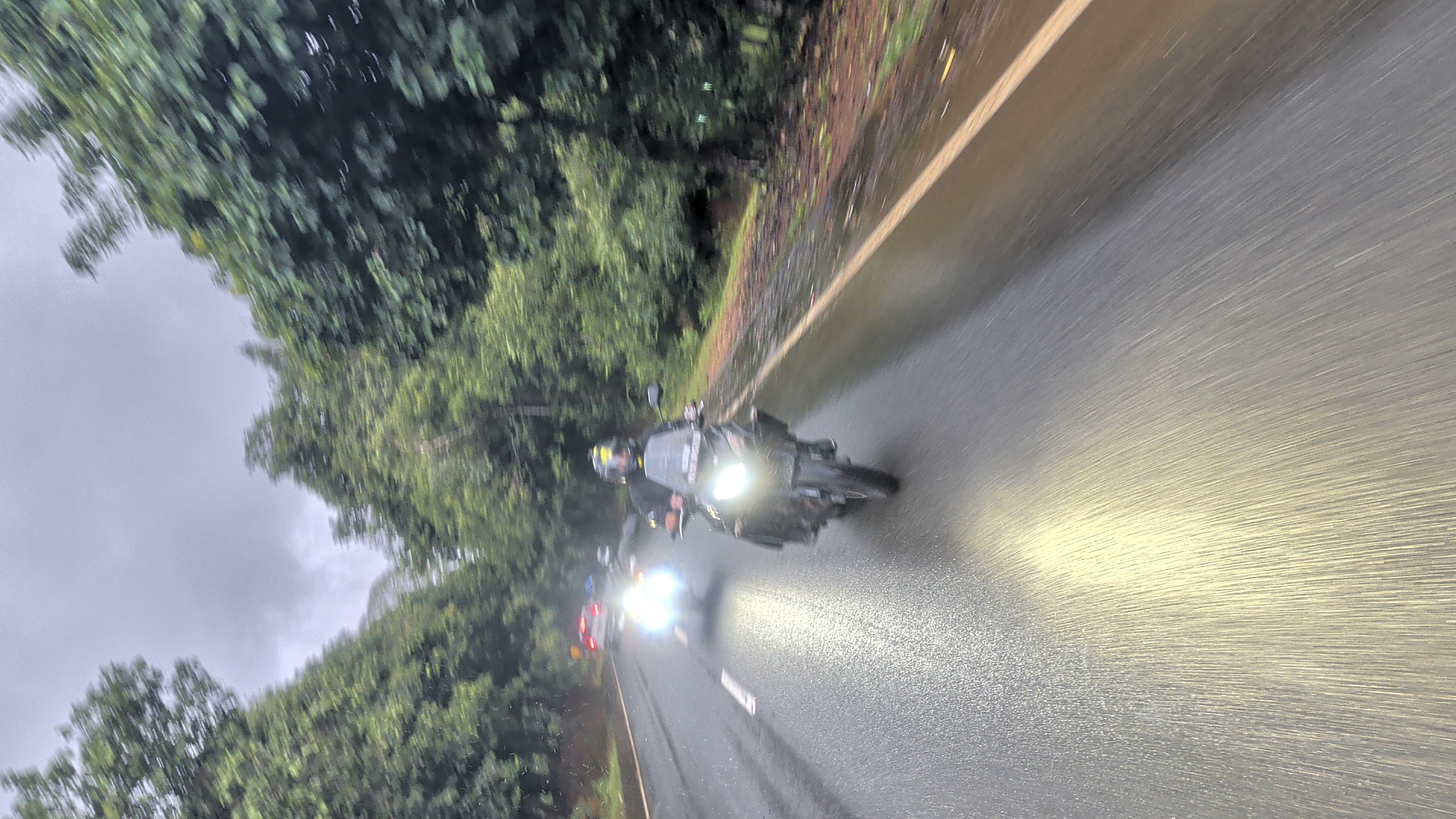 Rides